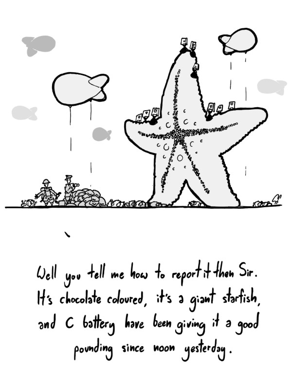 FmPanelStarfish